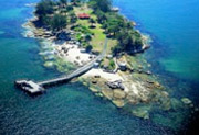 Shark Island